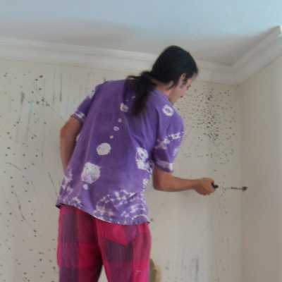 chipping the plaster